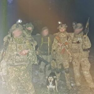 На завданні вірний друг- собака